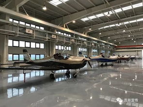 連續(xù)兩次被國(guó)家評(píng)為優(yōu)秀,自貢靠什么