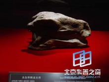 龍都珍品(一) - 自貢燈會彩燈,燈會彩燈界的行業(yè)門戶網(wǎng)站,聚合彩燈企業(yè)提供最全的彩燈會燈展花車信息,搜羅展會活動信息和歷屆燈會集錦