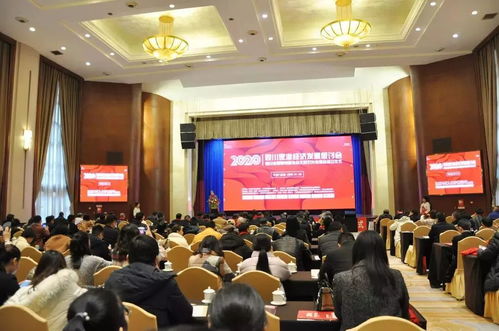 巔峰智業(yè)邢祺受聘為四川省照明電器協(xié)會(huì)文旅燈光專委會(huì)專家顧問(wèn)